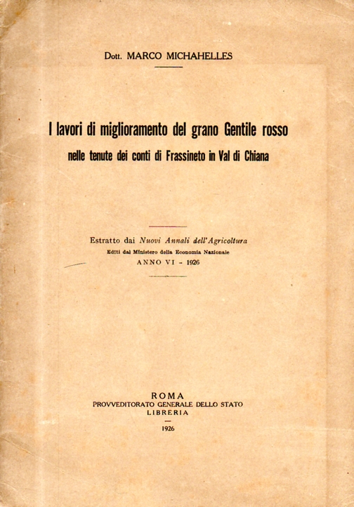 Grano Gentile rosso nelle tenute dei conti di Frassineto in Val di Chiana